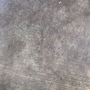 Meet your Posher, Dora